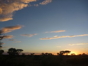 Sundowner time in the Kalahari